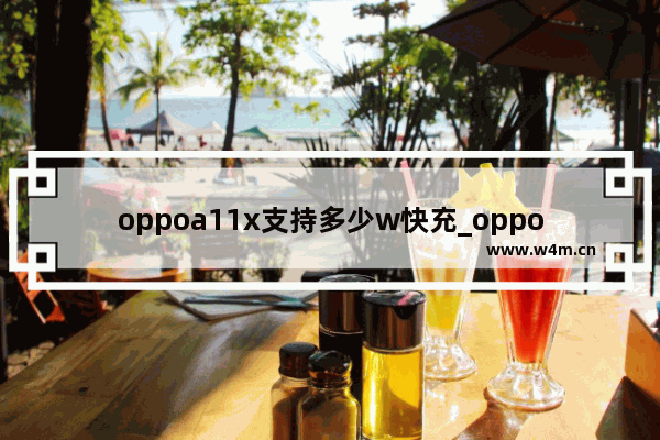 oppoa11x支持多少w快充_oppoa11x支持多少w充电功率