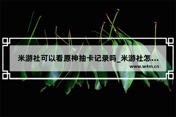 米游社可以看原神抽卡记录吗_米游社怎么看原神抽卡