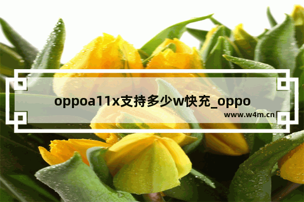 oppoa11x支持多少w快充_oppoa11x支持多少w充电功率