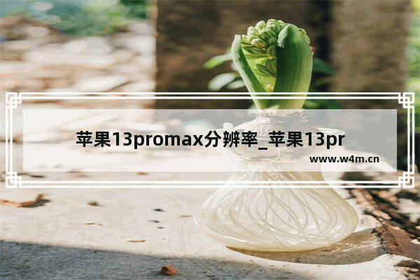 苹果13promax分辨率_苹果13promax分辨率是多少