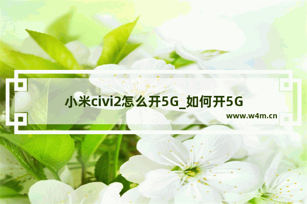 小米civi2怎么开5G_如何开5G