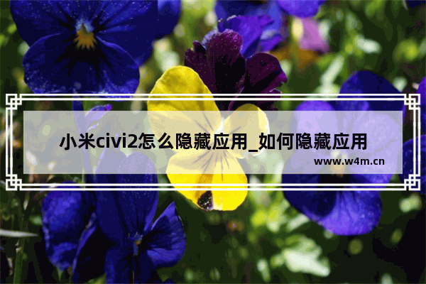 小米civi2怎么隐藏应用_如何隐藏应用