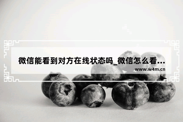 微信能看到对方在线状态吗_微信怎么看到对方在线状态