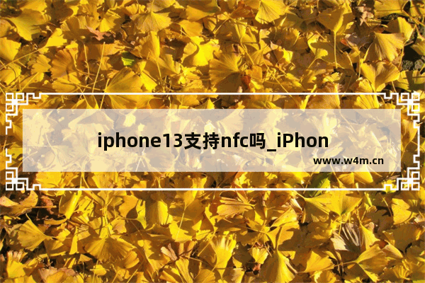 iphone13支持nfc吗_iPhone13能用nfc吗