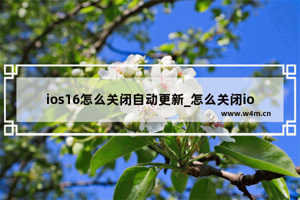 ios16怎么关闭自动更新_怎么关闭ios16自动更新