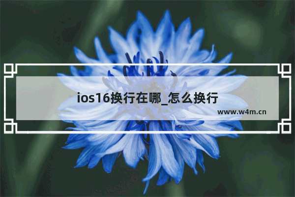 ios16换行在哪_怎么换行