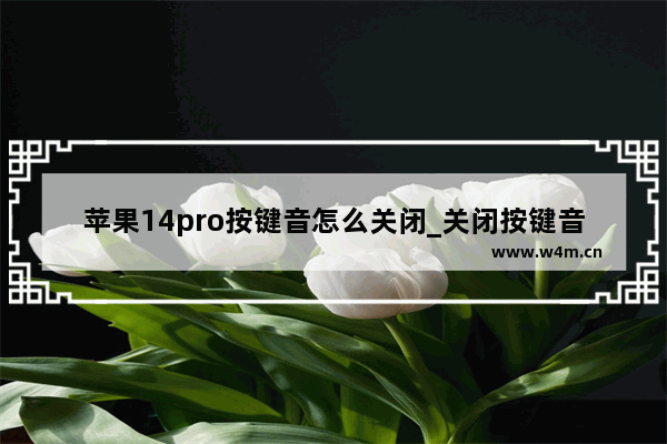 苹果14pro按键音怎么关闭_关闭按键音教程