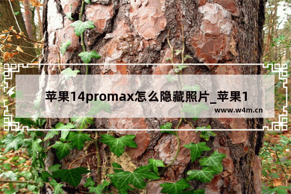 苹果14promax怎么隐藏照片_苹果14promax如何隐藏照片