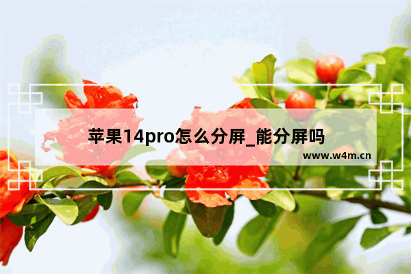 苹果14pro怎么分屏_能分屏吗