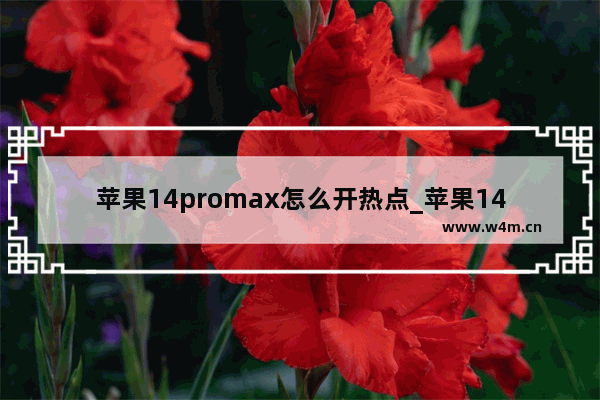 苹果14promax怎么开热点_苹果14promax如何开热点