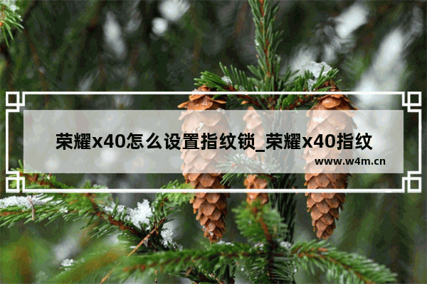 荣耀x40怎么设置指纹锁_荣耀x40指纹解锁怎么设置