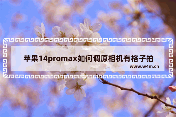 苹果14promax如何调原相机有格子拍_苹果14promax怎么调原相机有格子拍