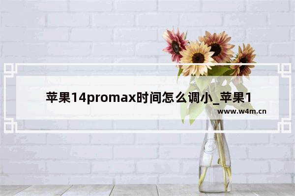 苹果14promax时间怎么调小_苹果14promax时间如何调小