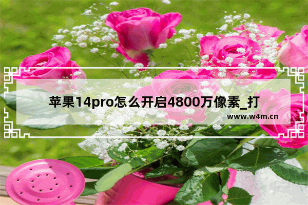 苹果14pro怎么开启4800万像素_打开4800万像素教程