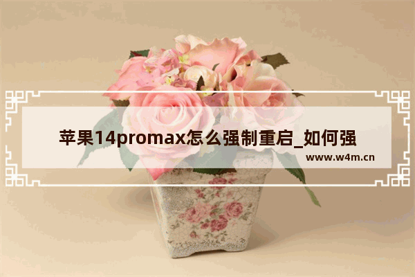 苹果14promax怎么强制重启_如何强制重启