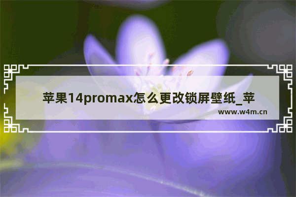 苹果14promax怎么更改锁屏壁纸_苹果14promax如何更改锁屏壁纸