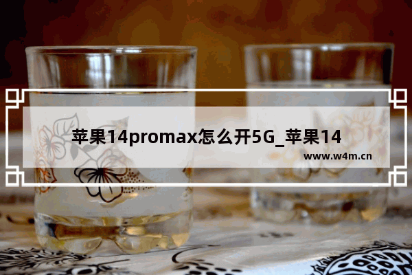 苹果14promax怎么开5G_苹果14promax如何开5G