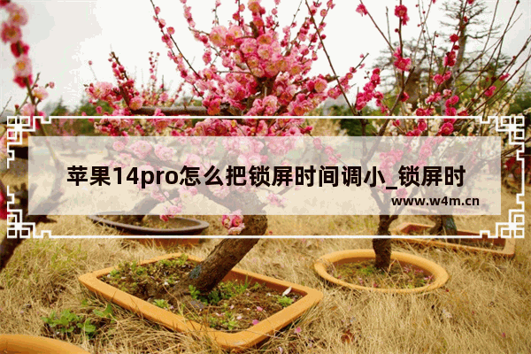 苹果14pro怎么把锁屏时间调小_锁屏时间怎么调整