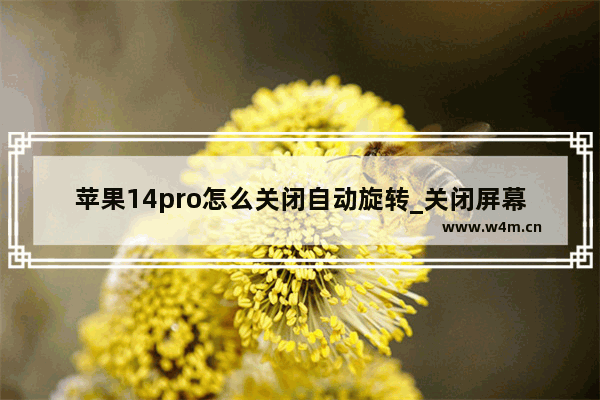 苹果14pro怎么关闭自动旋转_关闭屏幕旋转步骤