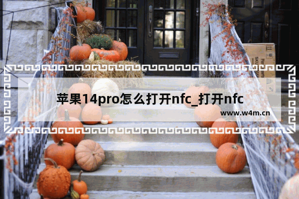 苹果14pro怎么打开nfc_打开nfc教程