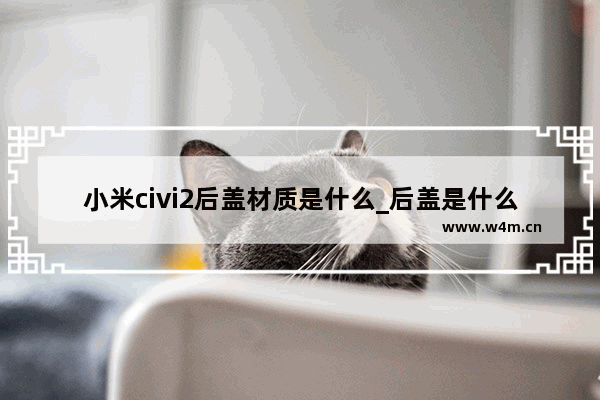 小米civi2后盖材质是什么_后盖是什么材质