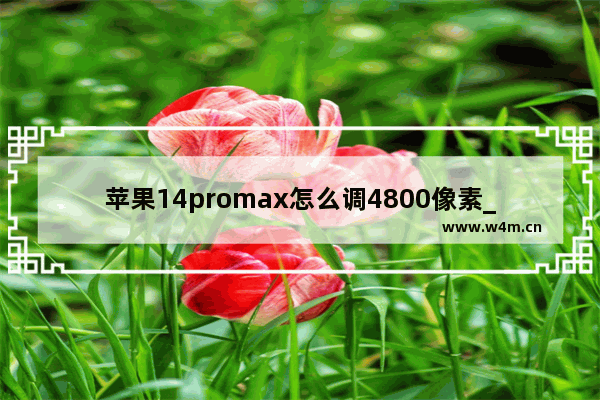 苹果14promax怎么调4800像素_苹果14promax4800像素怎么设置