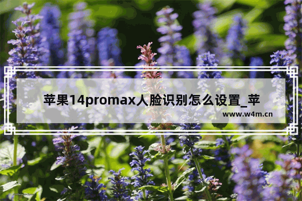 苹果14promax人脸识别怎么设置_苹果14promax如何设置人脸识别