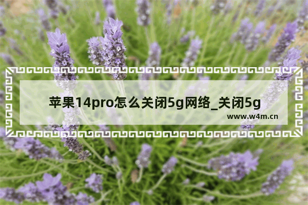 苹果14pro怎么关闭5g网络_关闭5g教程