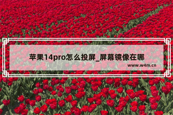 苹果14pro怎么投屏_屏幕镜像在哪