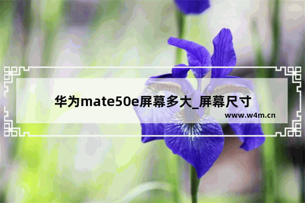 华为mate50e屏幕多大_屏幕尺寸