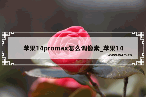 苹果14promax怎么调像素_苹果14promax如何调像素