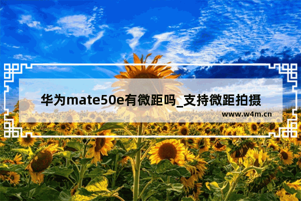 华为mate50e有微距吗_支持微距拍摄吗