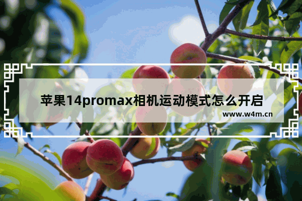 苹果14promax相机运动模式怎么开启_苹果14promax相机运动模式如何开启