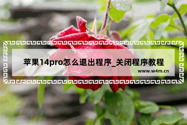 苹果14pro怎么退出程序_关闭程序教程