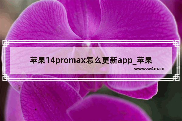 苹果14promax怎么更新app_苹果14promax如何更新app