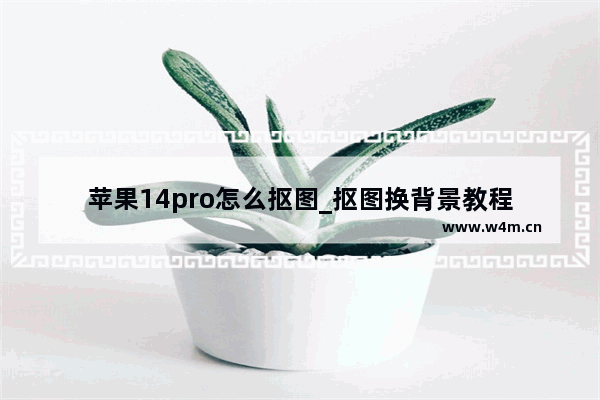 苹果14pro怎么抠图_抠图换背景教程