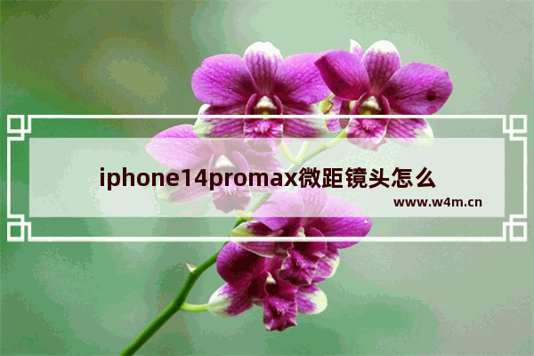 iphone14promax微距镜头怎么开_苹果14promax怎么开启微距镜头