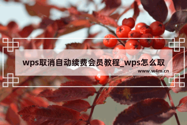 wps取消自动续费会员教程_wps怎么取消自动续费会员