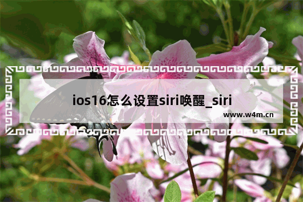 ios16怎么设置siri唤醒_siri在哪里设置