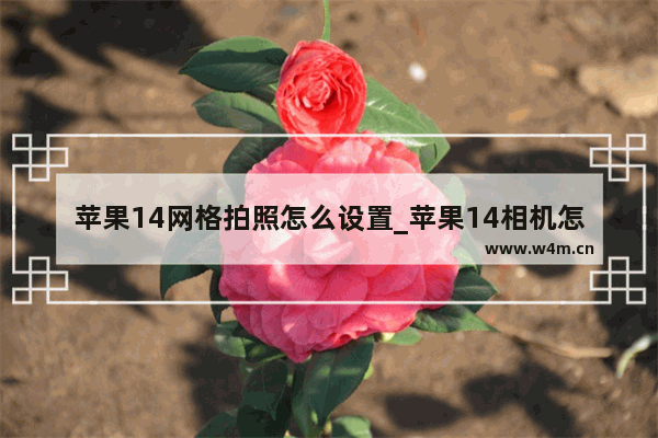 苹果14网格拍照怎么设置_苹果14相机怎么设置网格