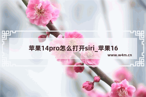 苹果14pro怎么打开siri_苹果16系统怎么设置siri