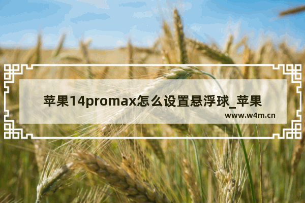 苹果14promax怎么设置悬浮球_苹果14promax如何开启悬浮球