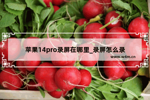 苹果14pro录屏在哪里_录屏怎么录