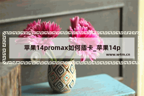 苹果14promax如何插卡_苹果14promax怎么插卡