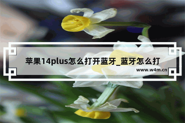 苹果14plus怎么打开蓝牙_蓝牙怎么打开