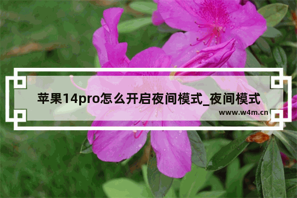 苹果14pro怎么开启夜间模式_夜间模式怎么设置