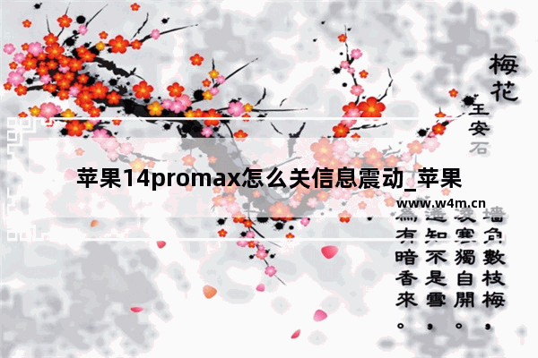 苹果14promax怎么关信息震动_苹果14promax如何关信息震动