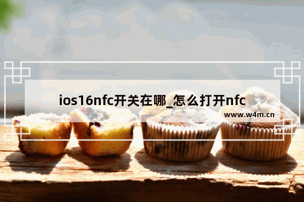 ios16nfc开关在哪_怎么打开nfc开关