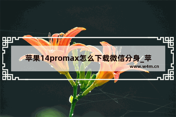 苹果14promax怎么下载微信分身_苹果14promax可以微信分身吗