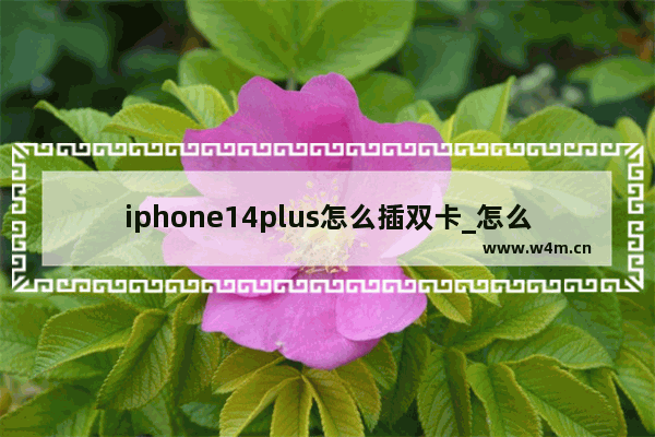 iphone14plus怎么插双卡_怎么插入两张卡